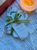 Draw Near Bible Study Gift Set